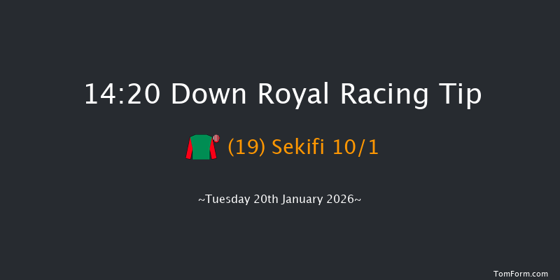 Down Royal 14-20 17f Fri 26th Dec 2025