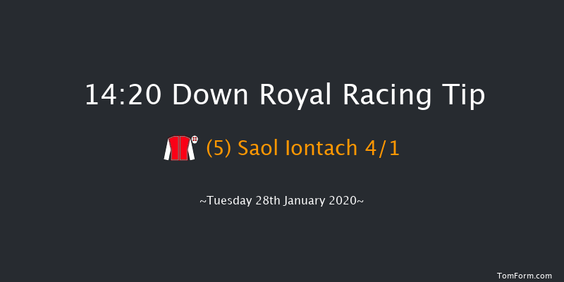 Down Royal 14:20 Handicap Hurdle 17f Thu 26th Dec 2019
