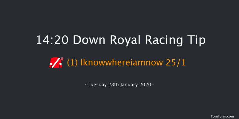 Down Royal 14:20 Handicap Hurdle 17f Thu 26th Dec 2019