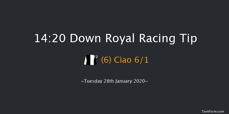 Down Royal 14:20 Handicap Hurdle 17f Thu 26th Dec 2019