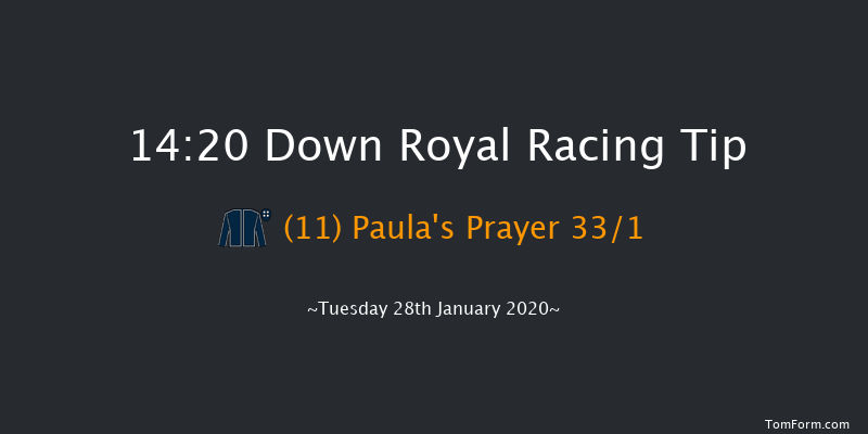 Down Royal 14:20 Handicap Hurdle 17f Thu 26th Dec 2019