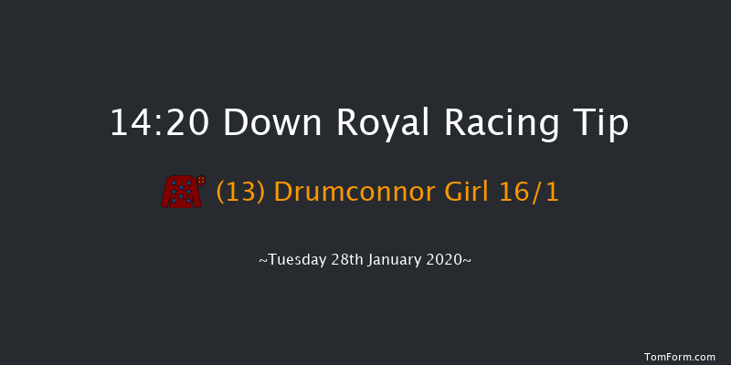 Down Royal 14:20 Handicap Hurdle 17f Thu 26th Dec 2019