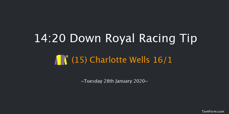 Down Royal 14:20 Handicap Hurdle 17f Thu 26th Dec 2019