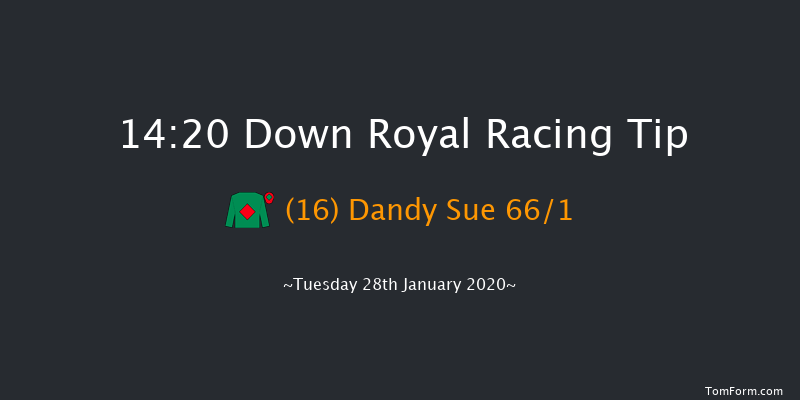 Down Royal 14:20 Handicap Hurdle 17f Thu 26th Dec 2019