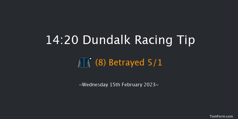Dundalk 14:20 Handicap 6f Fri 10th Feb 2023