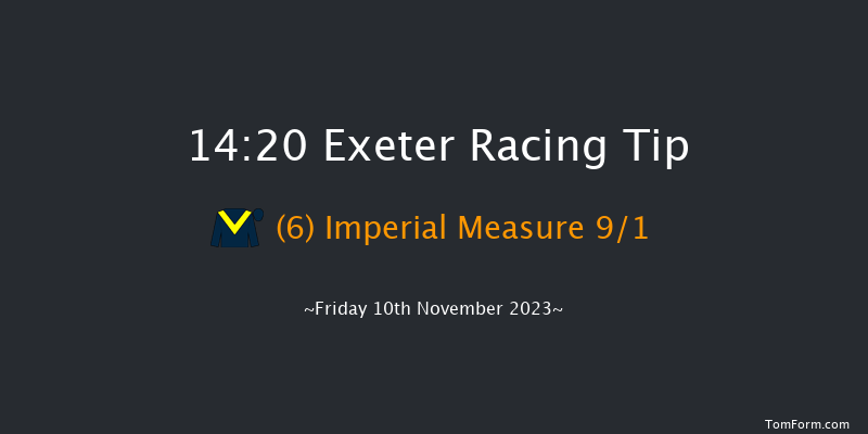 Exeter 14:20 Handicap Hurdle (Class 5) 17f Tue 24th Oct 2023