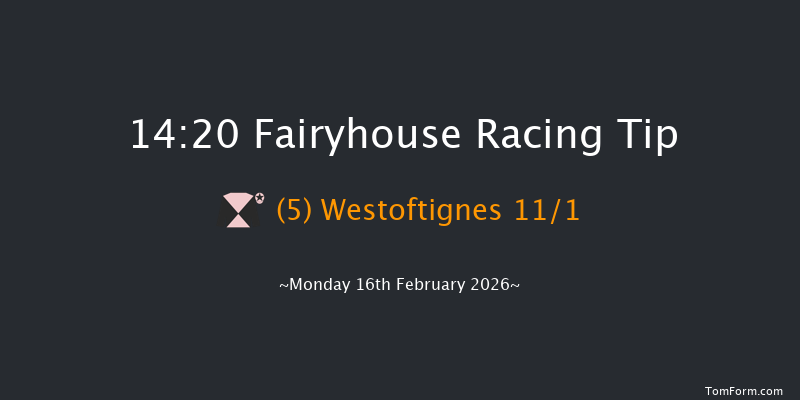 Fairyhouse 14-20 20f Tue 3rd Feb 2026