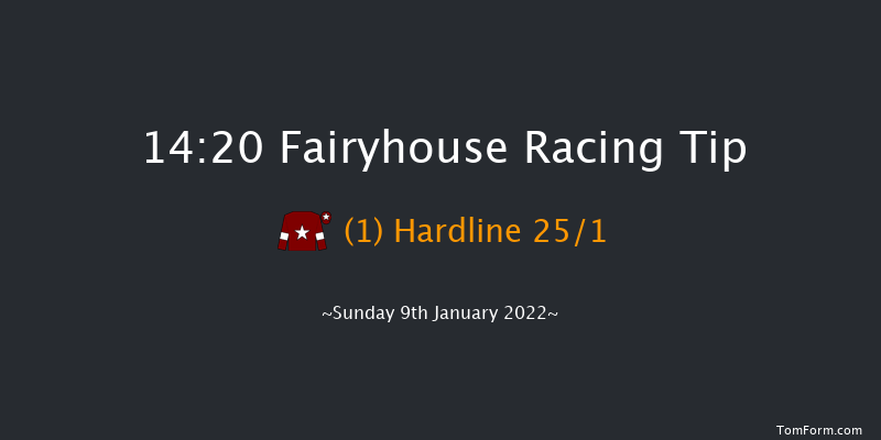 Fairyhouse 14:20 Handicap Chase 17f Sat 1st Jan 2022