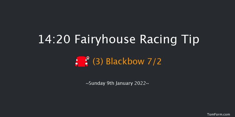 Fairyhouse 14:20 Handicap Chase 17f Sat 1st Jan 2022