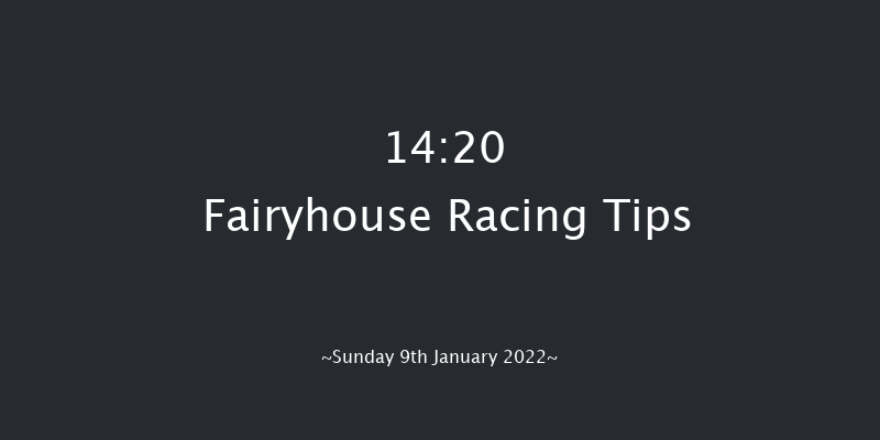 Fairyhouse 14:20 Handicap Chase 17f Sat 1st Jan 2022