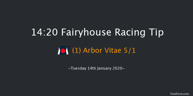 Fairyhouse 14:20 Maiden Hurdle 20f Sat 11th Jan 2020