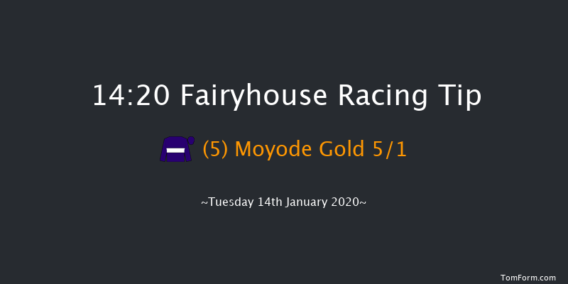 Fairyhouse 14:20 Maiden Hurdle 20f Sat 11th Jan 2020