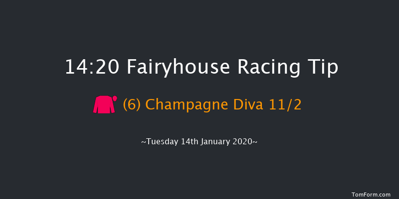 Fairyhouse 14:20 Maiden Hurdle 20f Sat 11th Jan 2020