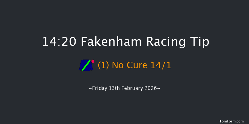 Fakenham 14-20 (Class 4) 20f Sun 18th Jan 2026