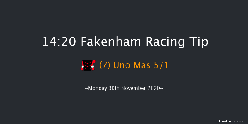 Testerton Handicap Chase Fakenham 14:20 Handicap Chase (Class 4) 29f Tue 17th Nov 2020