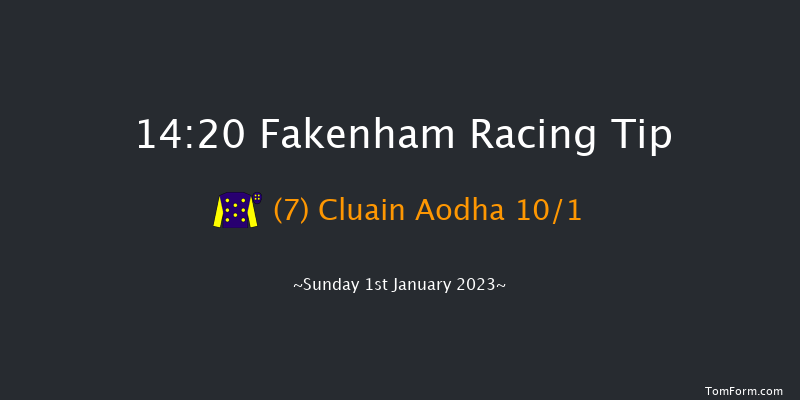 Fakenham 14:20 Handicap Hurdle (Class 4) 23f Tue 15th Nov 2022