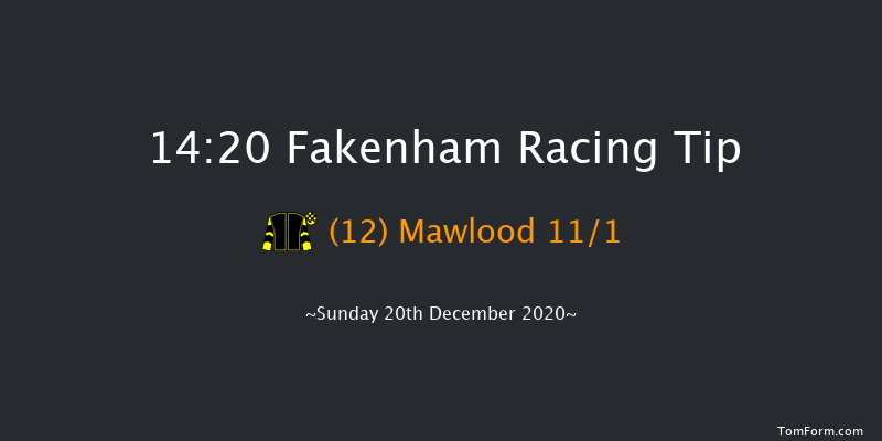 Fakenham Skips Supporting EACH And RBL Handicap Hurdle Fakenham 14:20 Handicap Hurdle (Class 4) 16f Mon 30th Nov 2020