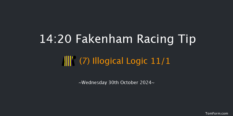 Fakenham  14:20 Handicap Chase (Class 5) 24f Fri 18th Oct 2024