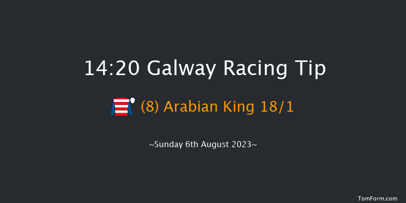 Galway 14:20 Handicap Hurdle 24f Sat 5th Aug 2023