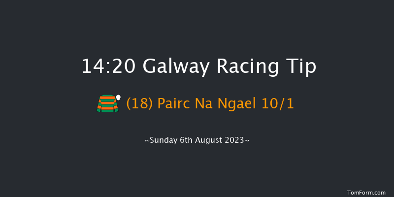 Galway 14:20 Handicap Hurdle 24f Sat 5th Aug 2023