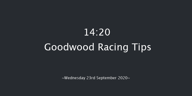 tote.co.uk Home Of The Placepot Handicap Goodwood 14:20 Handicap (Class 4) 6f Tue 8th Sep 2020