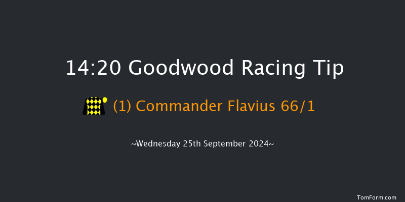 Goodwood  14:20 Maiden (Class 2) 10f Tue 3rd Sep 2024