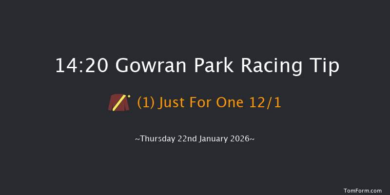 Gowran Park 14-20 16f Sat 8th Nov 2025
