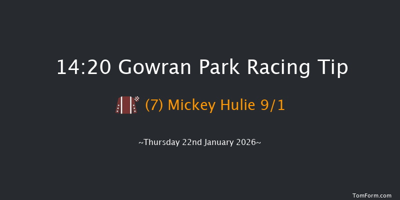 Gowran Park 14-20 16f Sat 8th Nov 2025