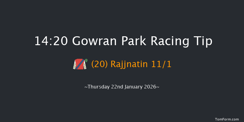 Gowran Park 14-20 16f Sat 8th Nov 2025