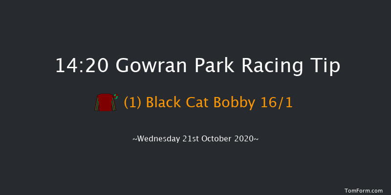 Irish Stallion Farms EBF Median Auction Maiden (Plus 10) (Div 2) Gowran Park 14:20 Maiden 7f Mon 19th Oct 2020