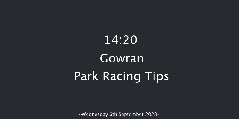 Gowran Park 14:20 Maiden 7f Wed 16th Aug 2023