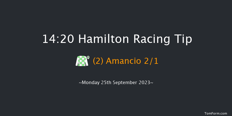Hamilton 14:20 Maiden (Class 4) 6f Sun 24th Sep 2023