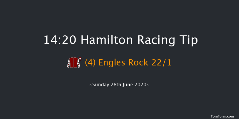 Every Race Live On RacingTV Handicap Hamilton 14:20 Handicap (Class 5) 8f Wed 24th Jun 2020