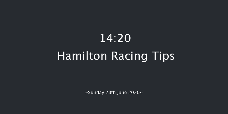 Every Race Live On RacingTV Handicap Hamilton 14:20 Handicap (Class 5) 8f Wed 24th Jun 2020