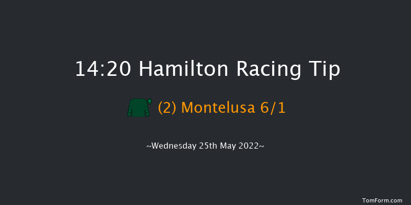 Hamilton 14:20 Maiden (Class 4) 5f Fri 13th May 2022