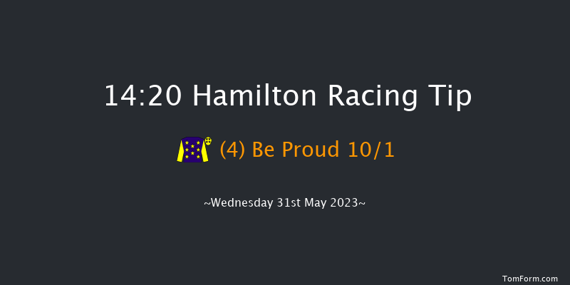 Hamilton 14:20 Handicap (Class 5) 5f Fri 19th May 2023