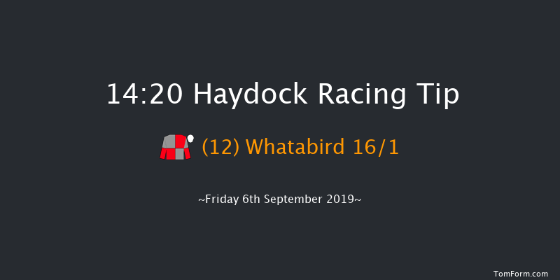 Haydock 14:20 Stakes (Class 5) 6f Thu 5th Sep 2019