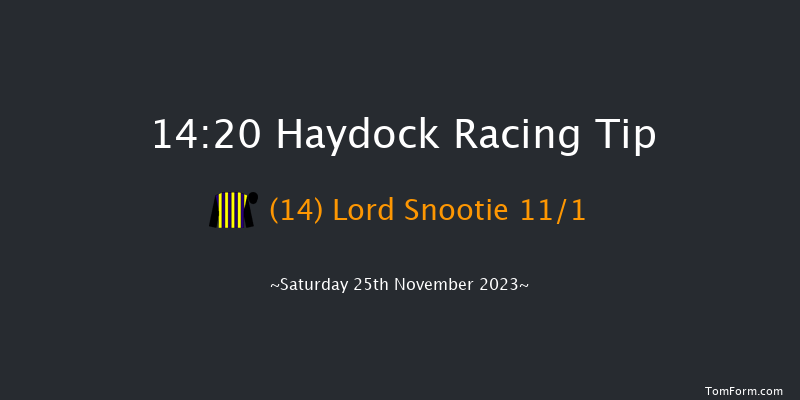 Haydock 14:20 Handicap Hurdle (Class 1) 24f Sat 30th Sep 2023