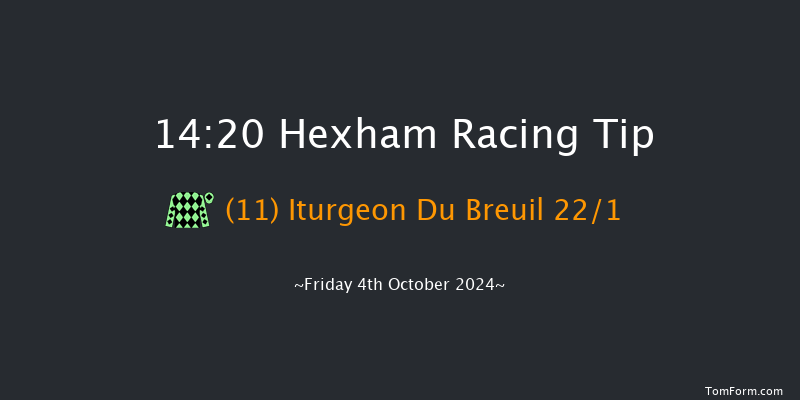 Hexham  14:20 Handicap Hurdle (Class 5) 23f Sun 23rd Jun 2024