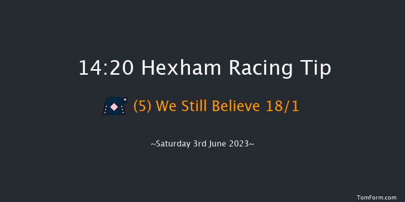 Hexham 14:20 Handicap Hurdle (Class 4) 16f Tue 23rd May 2023