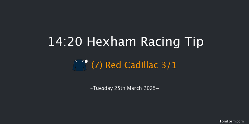 Hexham  14:20 Handicap Hurdle (Class 5) 20f Thu 13th Mar 2025