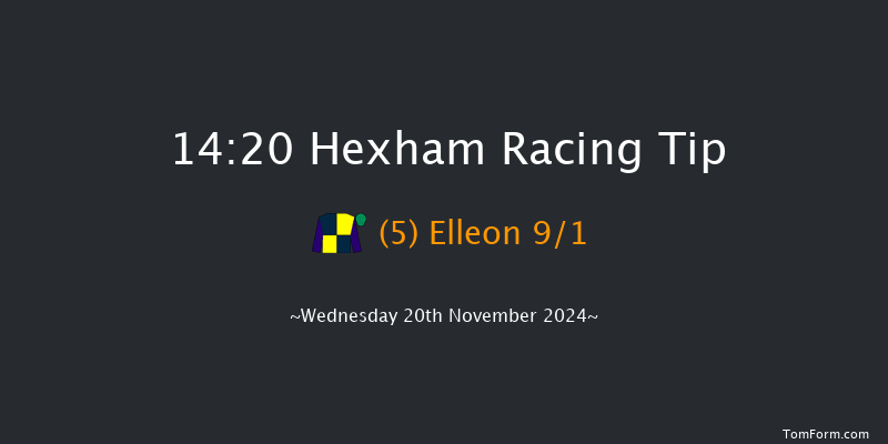Hexham  14:20 Handicap Chase (Class 4) 32f Fri 8th Nov 2024