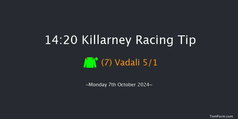 Killarney  14:20 Maiden 8f Sun 6th Oct 2024