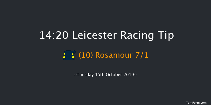 Leicester 14:20 Seller (Class 5) 7f Tue 8th Oct 2019