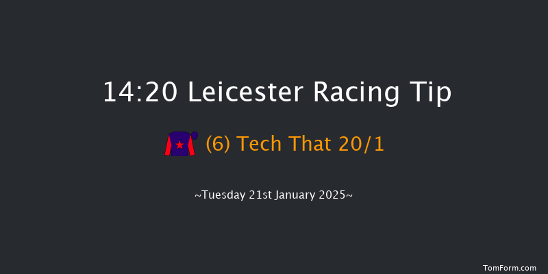 Leicester  14:20 Maiden Hurdle (Class 4) 20f Sat 28th Dec 2024