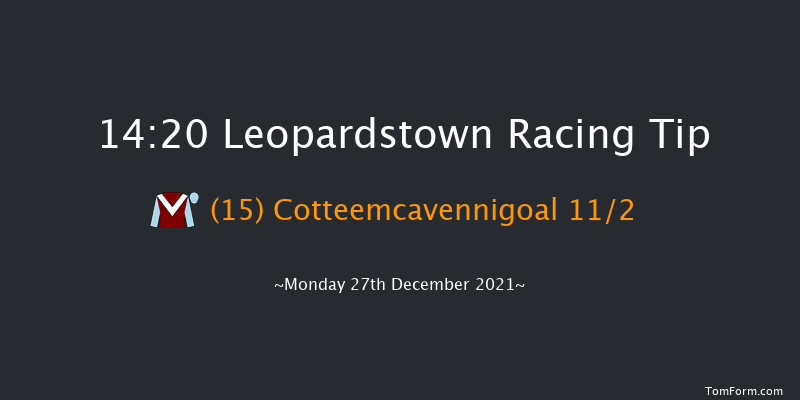 Leopardstown 14:20 Handicap Hurdle 16f Sun 26th Dec 2021