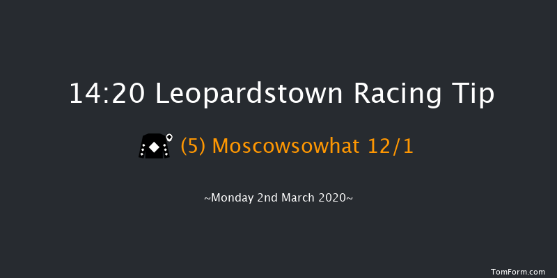 Tri Equestrian Handicap Hurdle (80-109) Leopardstown 14:20 Handicap Hurdle 24f Sun 1st Mar 2020