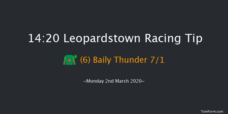 Tri Equestrian Handicap Hurdle (80-109) Leopardstown 14:20 Handicap Hurdle 24f Sun 1st Mar 2020