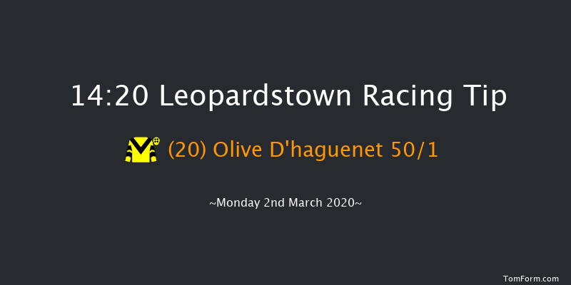 Tri Equestrian Handicap Hurdle (80-109) Leopardstown 14:20 Handicap Hurdle 24f Sun 1st Mar 2020
