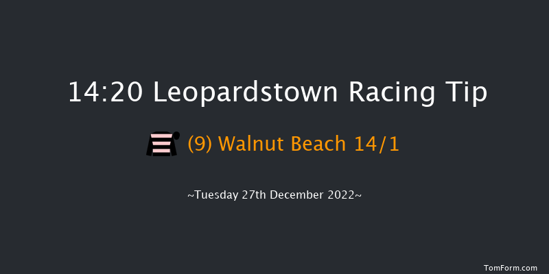 Leopardstown 14:20 Handicap Hurdle 16f Mon 26th Dec 2022